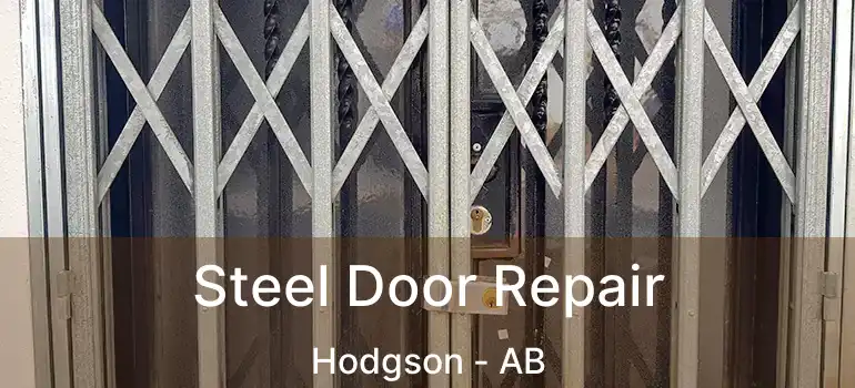  Steel Door Repair Hodgson - AB