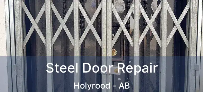  Steel Door Repair Holyrood - AB