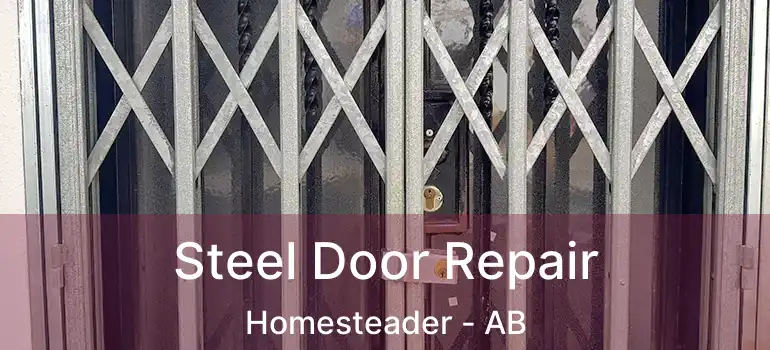  Steel Door Repair Homesteader - AB