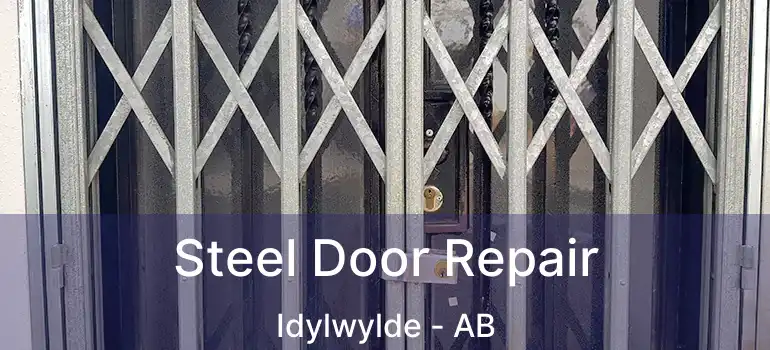  Steel Door Repair Idylwylde - AB