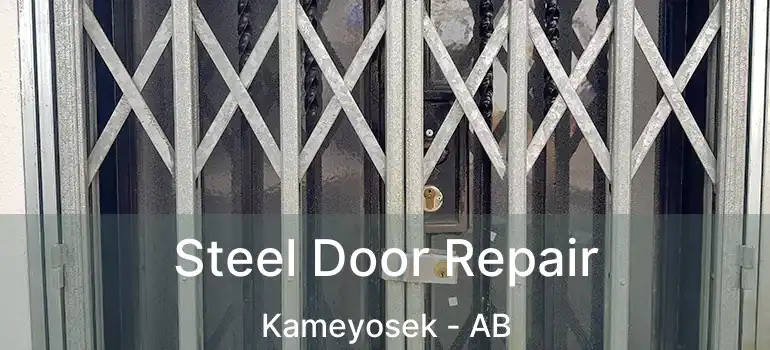  Steel Door Repair Kameyosek - AB