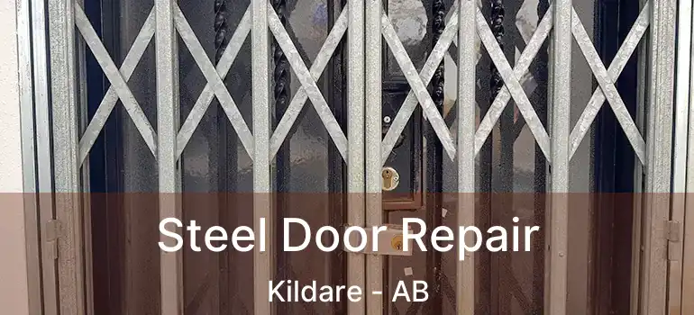  Steel Door Repair Kildare - AB