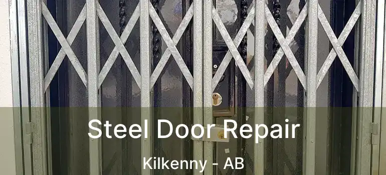  Steel Door Repair Kilkenny - AB