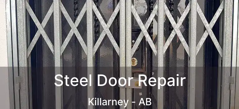  Steel Door Repair Killarney - AB