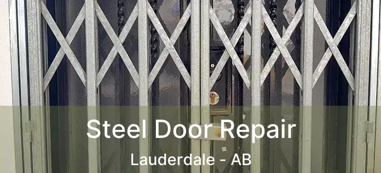  Steel Door Repair Lauderdale - AB