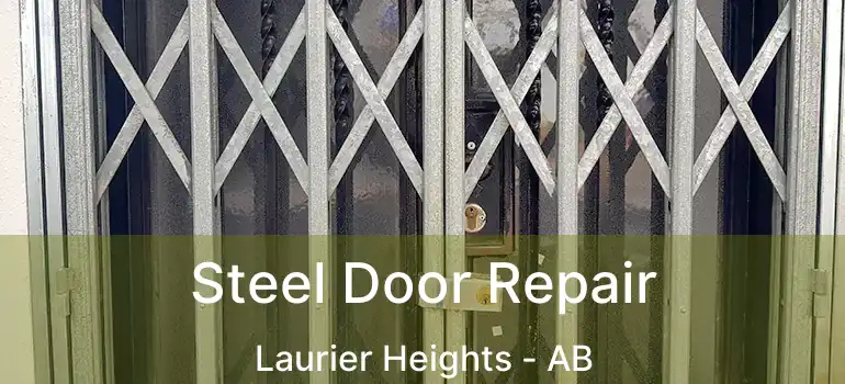  Steel Door Repair Laurier Heights - AB