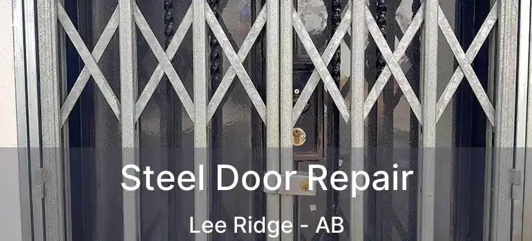 Steel Door Repair Lee Ridge - AB