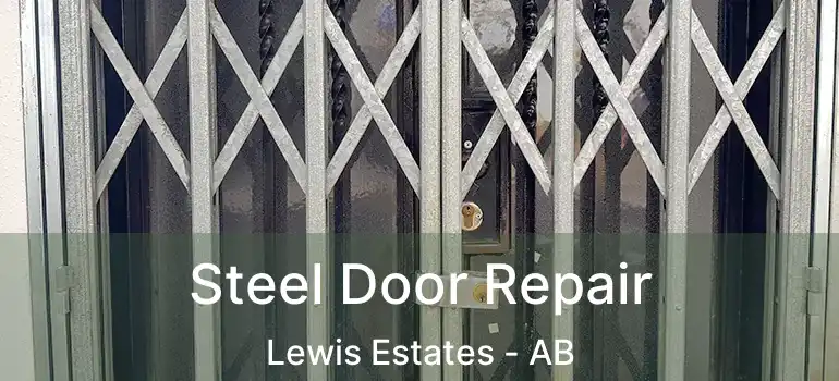  Steel Door Repair Lewis Estates - AB