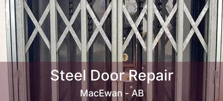  Steel Door Repair MacEwan - AB