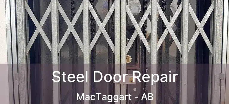  Steel Door Repair MacTaggart - AB