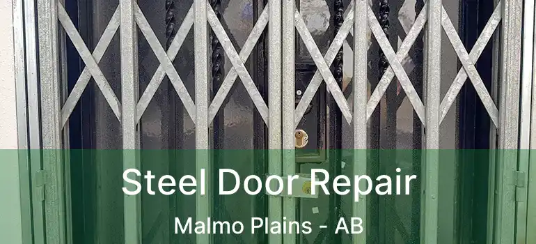  Steel Door Repair Malmo Plains - AB