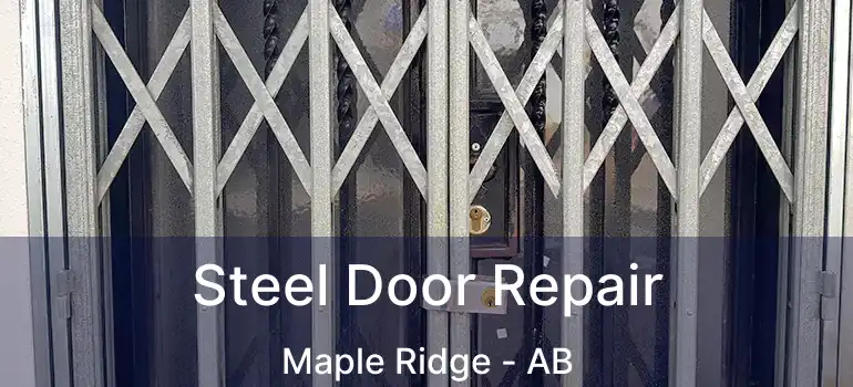  Steel Door Repair Maple Ridge - AB