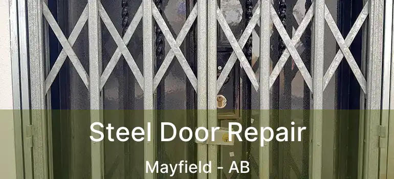  Steel Door Repair Mayfield - AB