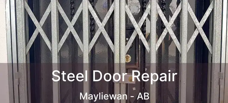  Steel Door Repair Mayliewan - AB