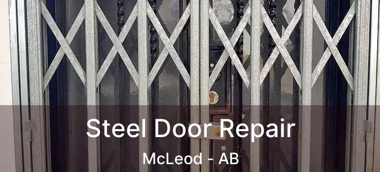  Steel Door Repair McLeod - AB