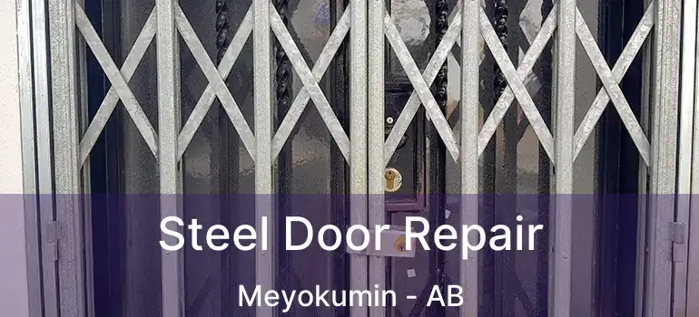  Steel Door Repair Meyokumin - AB