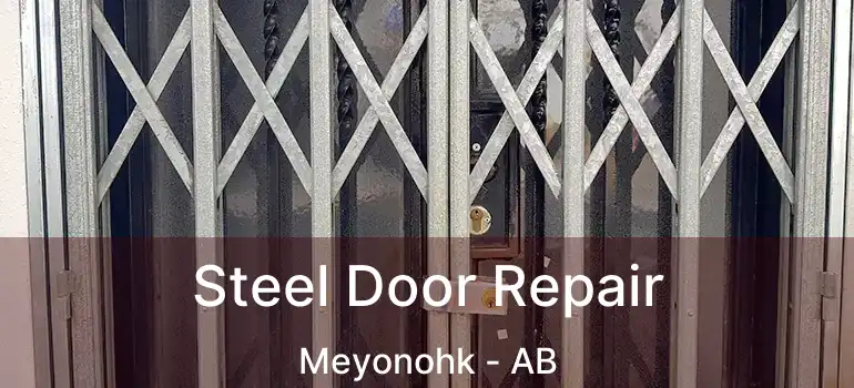  Steel Door Repair Meyonohk - AB