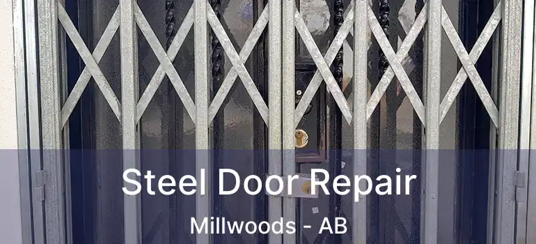  Steel Door Repair Millwoods - AB