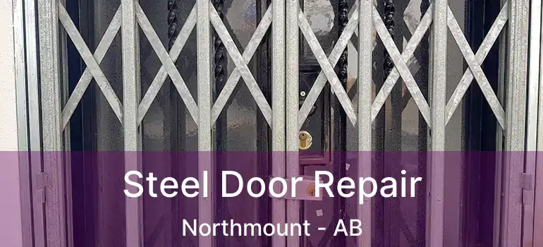  Steel Door Repair Northmount - AB