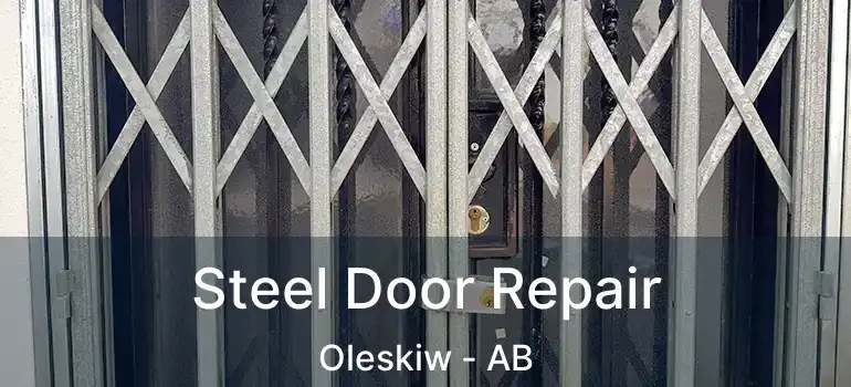  Steel Door Repair Oleskiw - AB