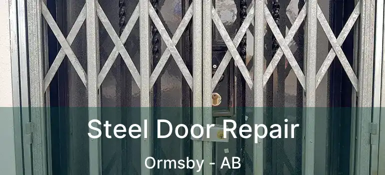  Steel Door Repair Ormsby - AB