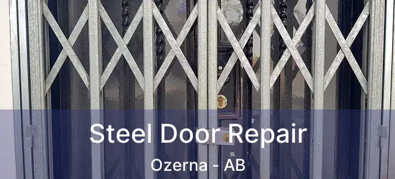  Steel Door Repair Ozerna - AB