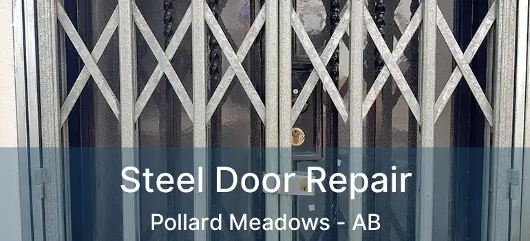 Steel Door Repair Pollard Meadows - AB