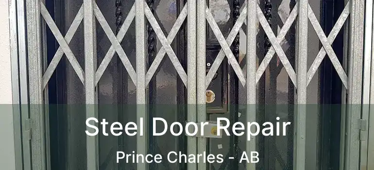  Steel Door Repair Prince Charles - AB