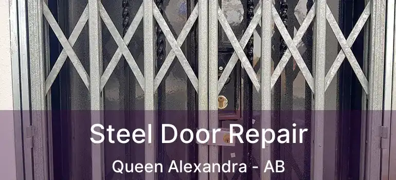  Steel Door Repair Queen Alexandra - AB