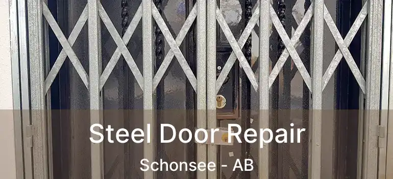  Steel Door Repair Schonsee - AB