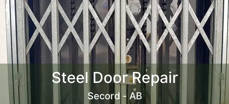  Steel Door Repair Secord - AB