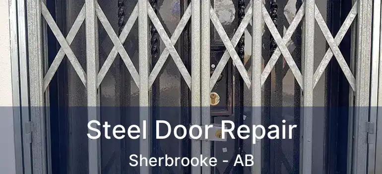  Steel Door Repair Sherbrooke - AB