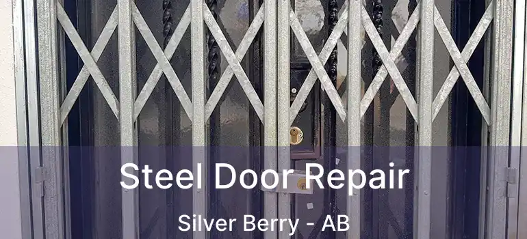  Steel Door Repair Silver Berry - AB
