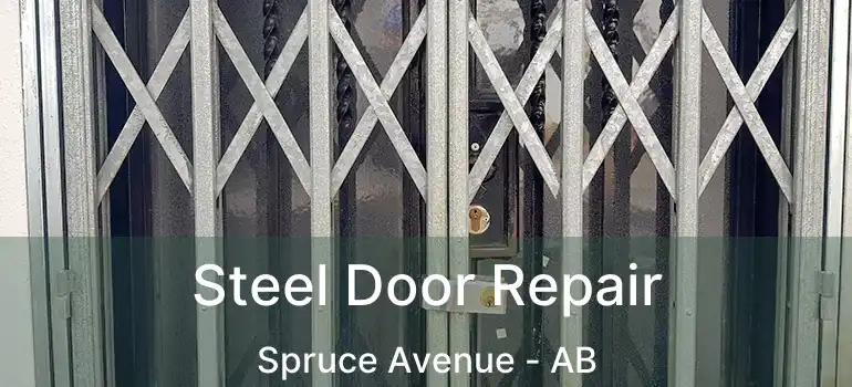  Steel Door Repair Spruce Avenue - AB