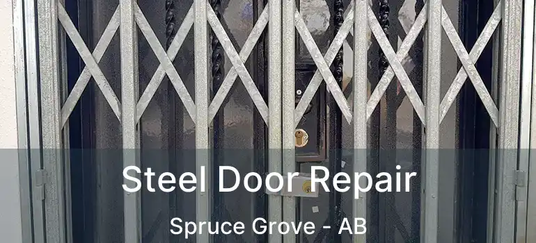  Steel Door Repair Spruce Grove - AB
