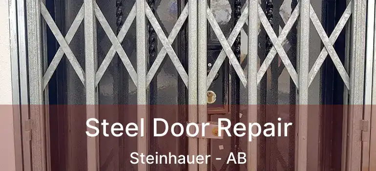  Steel Door Repair Steinhauer - AB