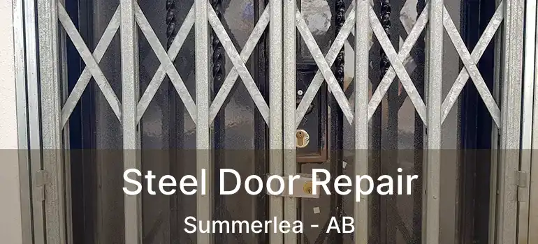  Steel Door Repair Summerlea - AB
