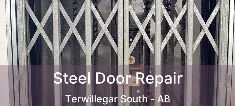  Steel Door Repair Terwillegar South - AB