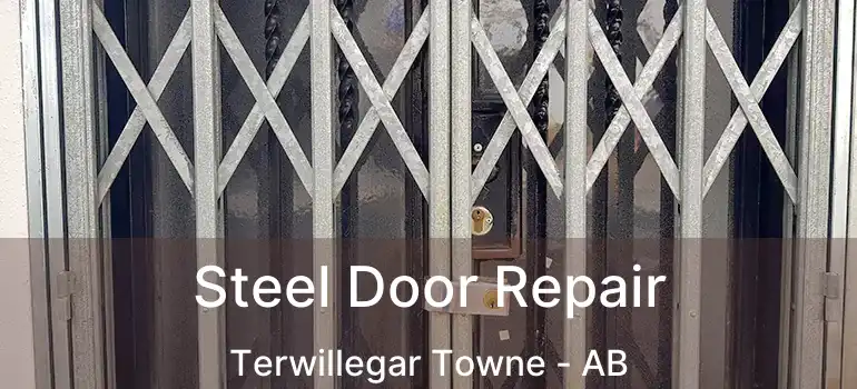  Steel Door Repair Terwillegar Towne - AB
