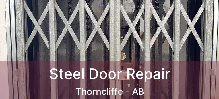  Steel Door Repair Thorncliffe - AB