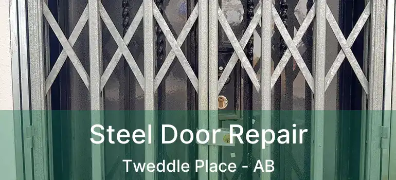  Steel Door Repair Tweddle Place - AB