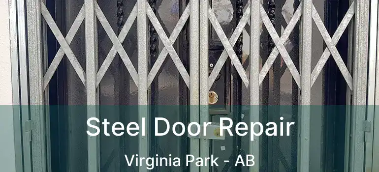  Steel Door Repair Virginia Park - AB
