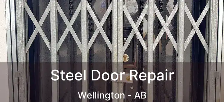  Steel Door Repair Wellington - AB