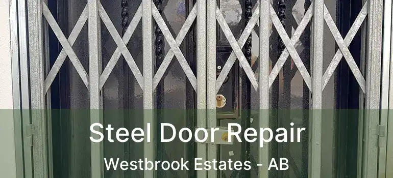  Steel Door Repair Westbrook Estates - AB