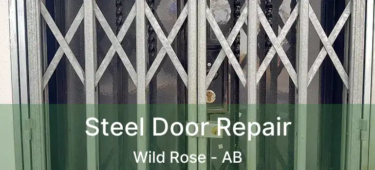  Steel Door Repair Wild Rose - AB