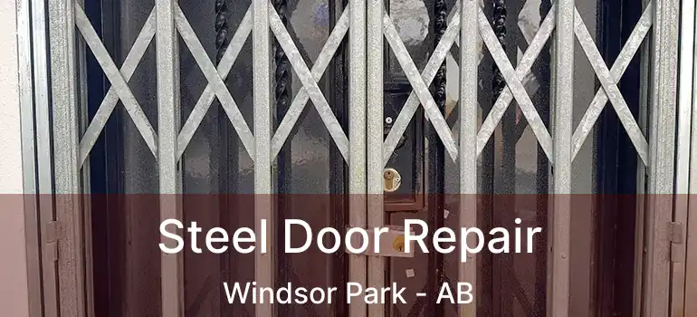 Steel Door Repair Windsor Park - AB
