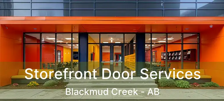  Storefront Door Services Blackmud Creek - AB