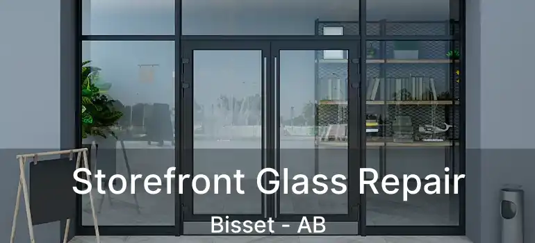  Storefront Glass Repair Bisset - AB