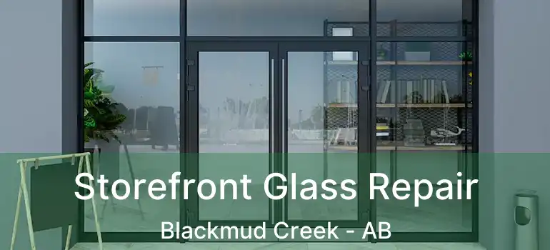  Storefront Glass Repair Blackmud Creek - AB
