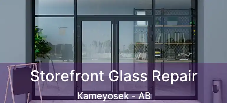  Storefront Glass Repair Kameyosek - AB